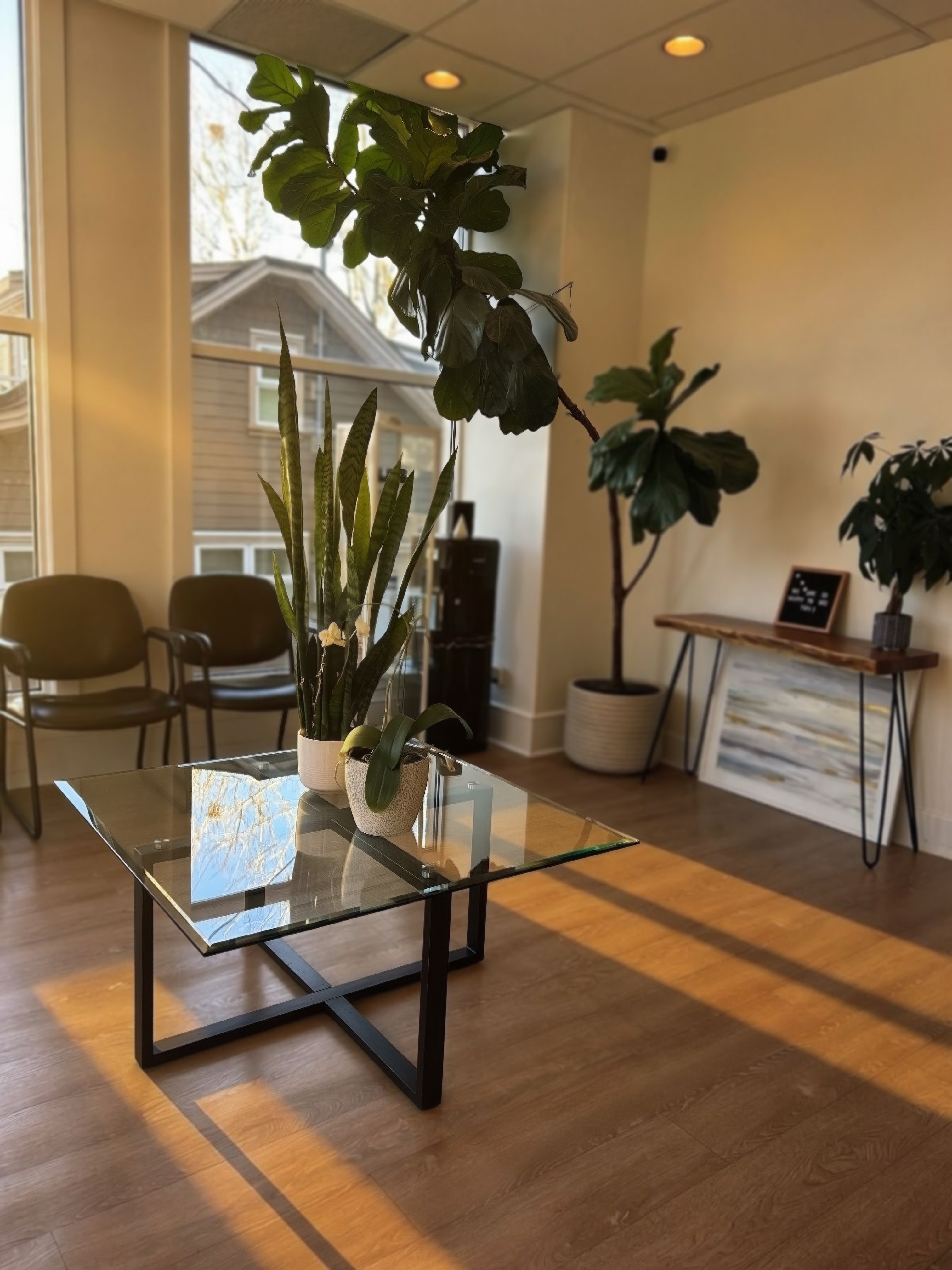 Naturopathic Medicine at Life Integrative Vancouver