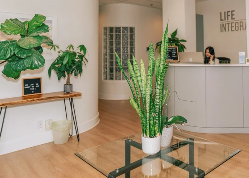 Life Integrative reception