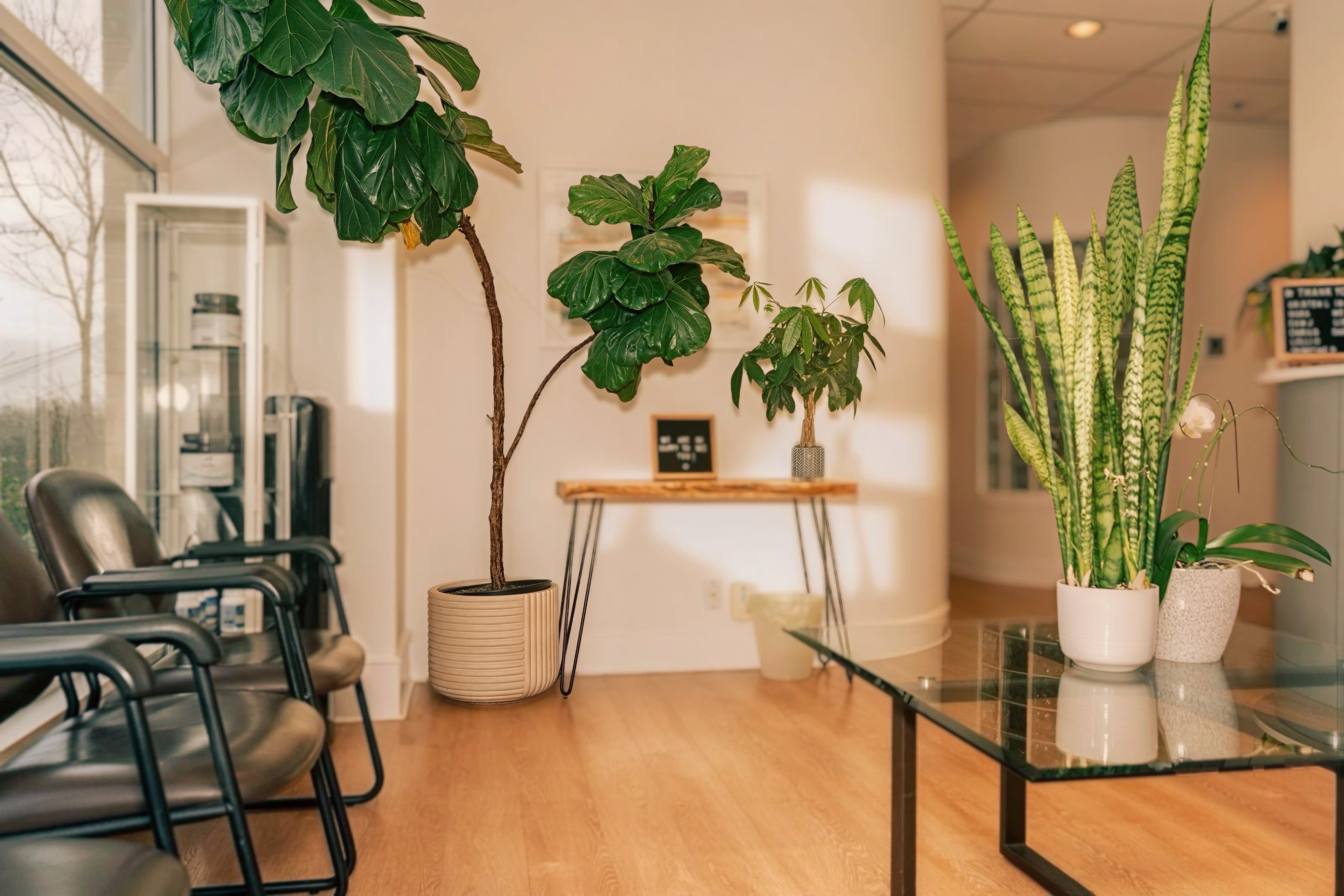 Life Integrative waiting area