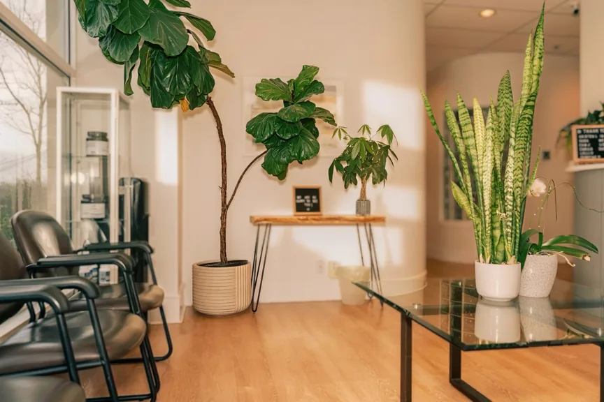 Life Integrative waiting area